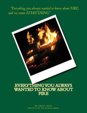 Everything You Always Wanted to Know about Fire de David Aman