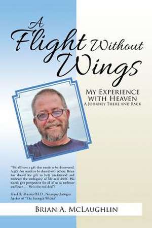 A Flight Without Wings de Brian McLaughlin