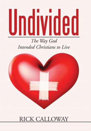 Undivided de Rick Calloway