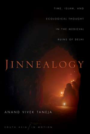 Jinnealogy de Anand Vivek Taneja