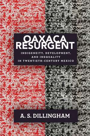 Oaxaca Resurgent – Indigeneity, Development, and Inequality in Twentieth–Century Mexico de A. S. Dillingham