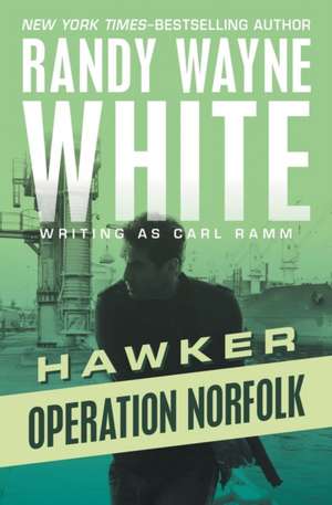 Operation Norfolk de Randy Wayne White