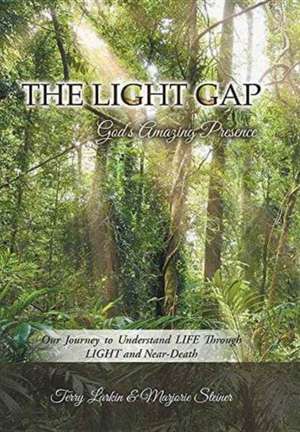 The Light Gap de Terry Larkin