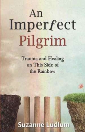 An Imperfect Pilgrim de Suzanne Ludlum