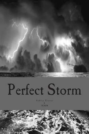 Perfect Storm de Ashley R. Graves