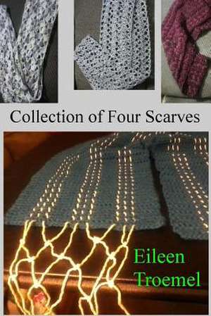 Collection of Four Scarves de Eileen Troemel