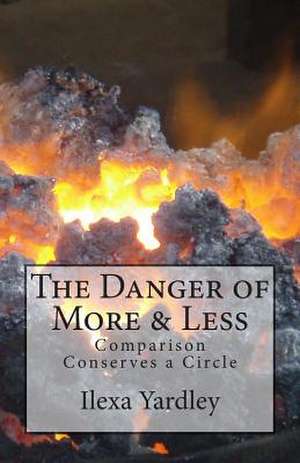 The Danger of More & Less de Ilexa Yardley