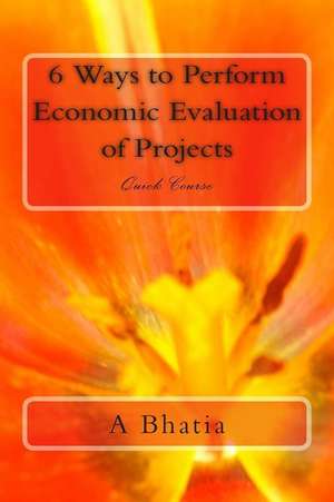 Six Ways to Perform Economic Evaluation of Projects de A. Bhatia