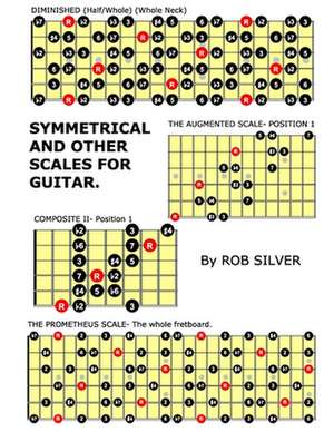 Symmetrical and Other Scales for Guitar de Rob Silver