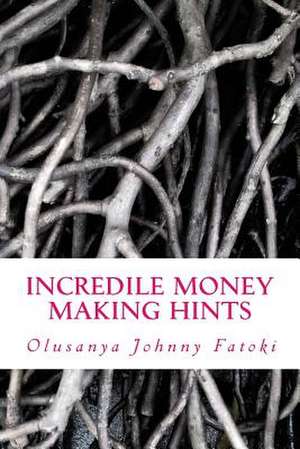 Incredile Money Making Hints de Olusanya Johnny Fatoki