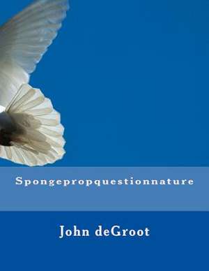 Spongepropquestionnature de MR John deGroot