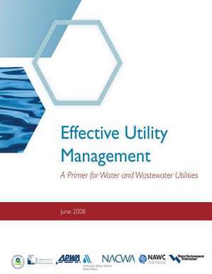 Effective Utility Management de Environmental Protection Agency