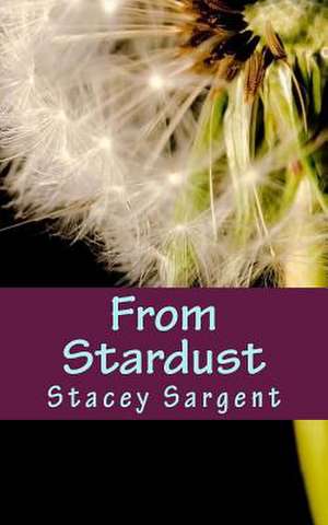 From Stardust de Stacey Sargent