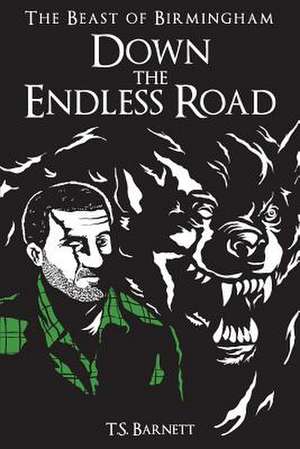 Down the Endless Road de T. S. Barnett