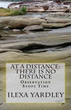 At a Distance de Ilexa Yardley