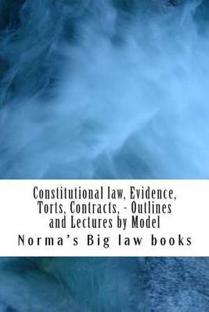 Constitutional Law, Evidence, Torts, Contracts, - Outlines and Lectures by Model de Norma's Big Law Books