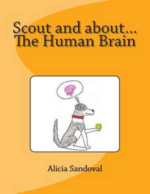 Scout and About...the Human Brain de Alicia Sandoval