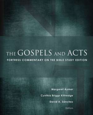 The Gospels and Acts de Margaret Aymer