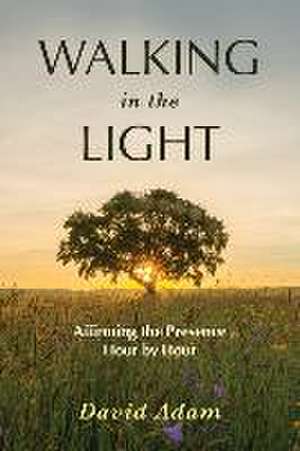 Walking in the Light: Affirming the Presence Hour by Hour de David Adam