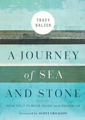 A Journey of Sea and Stone de Tracy Balzer