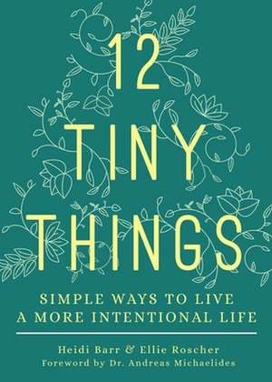 12 Tiny Things de Heidi Barr