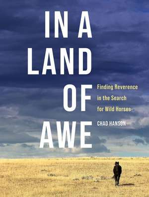 In a Land of Awe de Chad Hanson