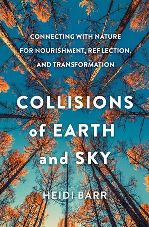 Collisions of Earth and Sky de Heidi Barr