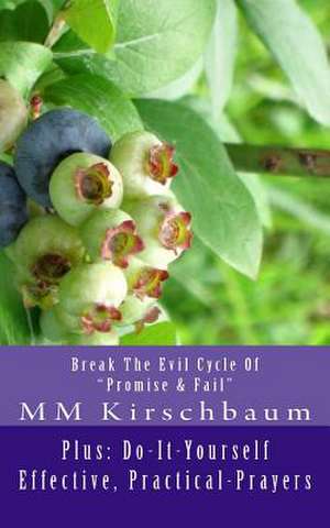 Break the Evil Cycle of Promise & Fail de M. M. Kirschbaum