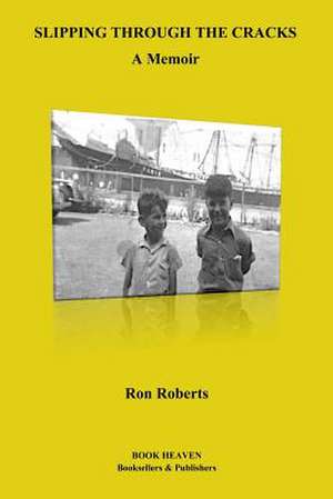 Slipping Through the Cracks de Ron Roberts