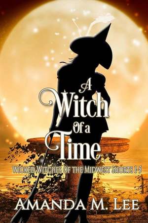 A Witch of a Time de Amanda M. Lee