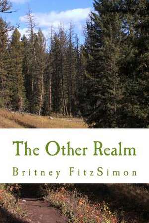 The Other Realm de Britney Fitzsimon