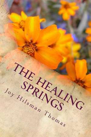 The Healing Springs de Joy Hilsman Thomas