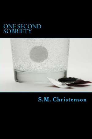 One Second Sobriety de S. M. Christenson