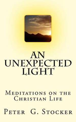An Unexpected Light de MR Peter G. Stocker