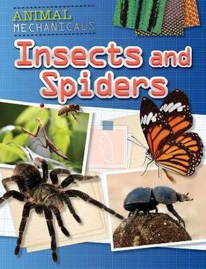 Insects and Spiders de Tom Jackson