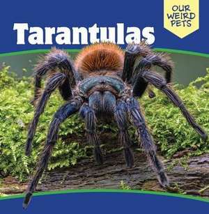 Tarantulas de Hely, Patrick