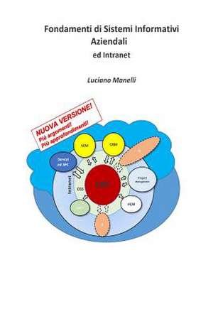 Fondamenti Di Sistemi Informativi Aziendali de Luciano Manelli