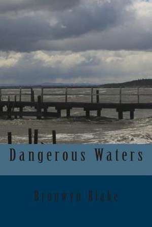 Dangerous Waters de Bronwyn Blake