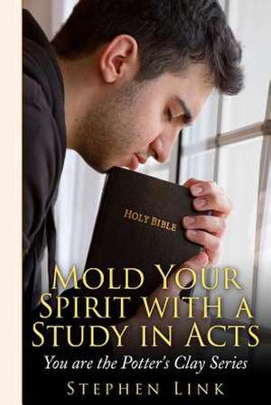 Mold Your Spirit with a Study in Acts de Stephen Link