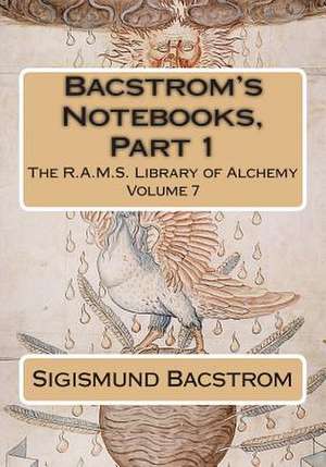 Bacstrom's Notebooks, Part 1 de Sigismund Bacstrom