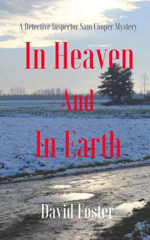 In Heaven and in Earth de David Foster