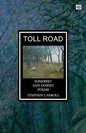 Toll Road de Stephen Carroll