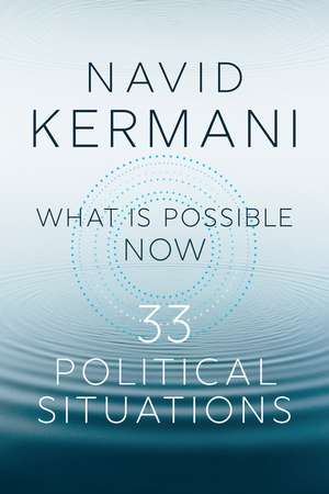 What is Possible Now – 33 Political Situations de N Kermani