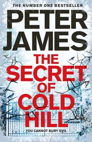 James, P: The Secret of Cold Hill de Peter James