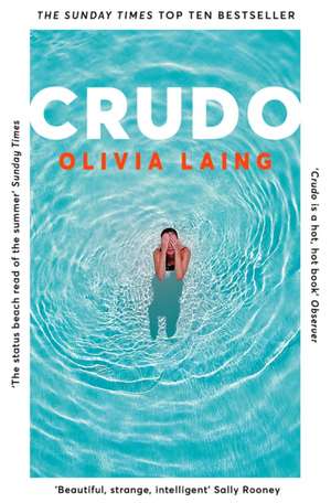 Crudo de Olivia Laing