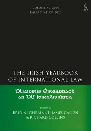 The Irish Yearbook of International Law, Volume 15, 2020 de Dr Bríd Ní Ghráinne