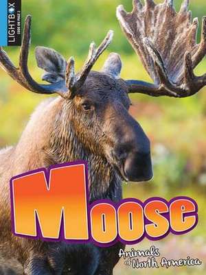 Moose de Nick Winnick