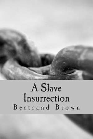 A Slave Insurrection de Bertrand Brown