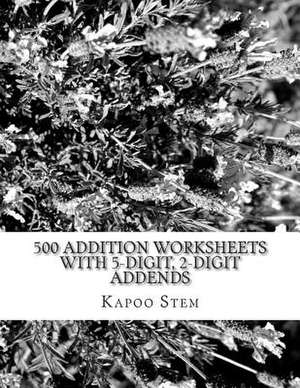 500 Addition Worksheets with 5-Digit, 2-Digit Addends de Kapoo Stem