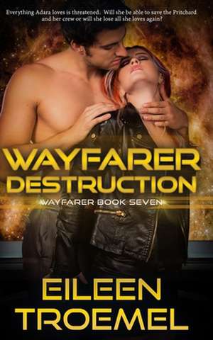 Wayfarer Destruction de Eileen Troemel